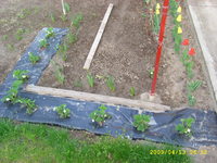 Fldieper telep csemete.  :)))