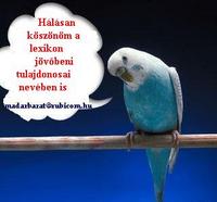 madrbart kszni