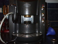 KV gp