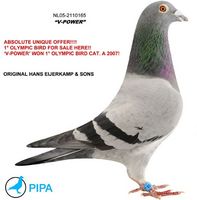 vpow