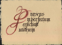 mertett papr, gtikus, kalligrfia, ecset, meghv, egyedi, bortk, ltetkrtya, diploma