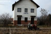Harta