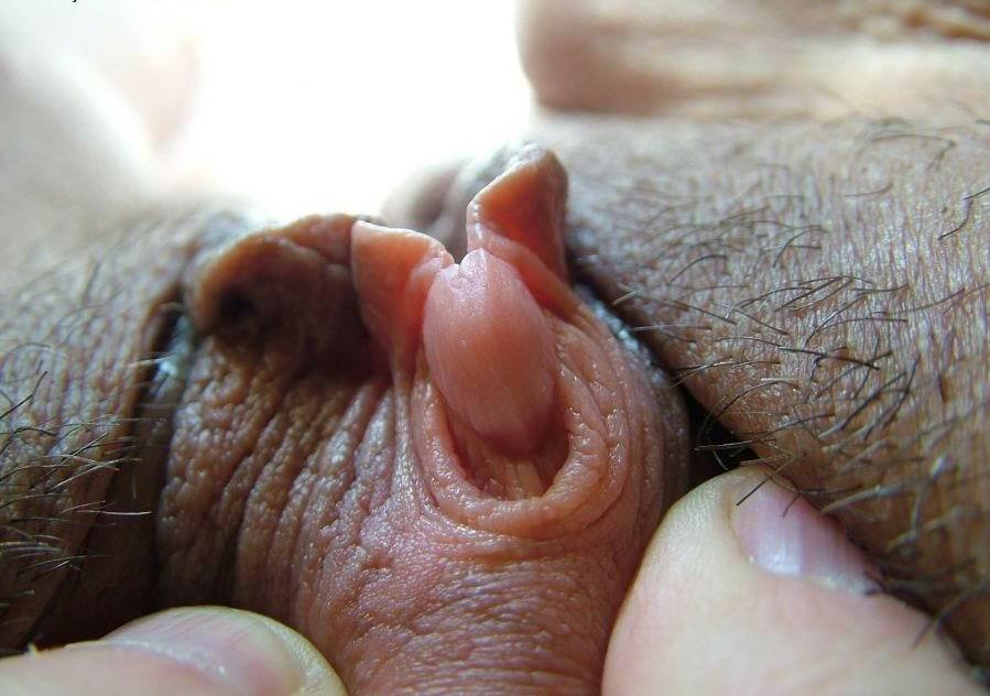 Clits Like Dicks