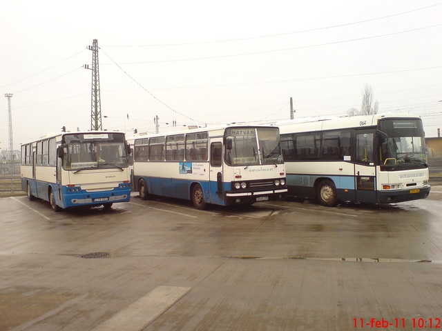 Yalangoch Kasper van Dien mavzusidagi forum Yalangoch Kasper van Dien mavzusidagi forum