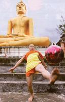 focizo Buddha