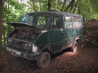 Ныса 501