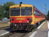 Bzmot 318